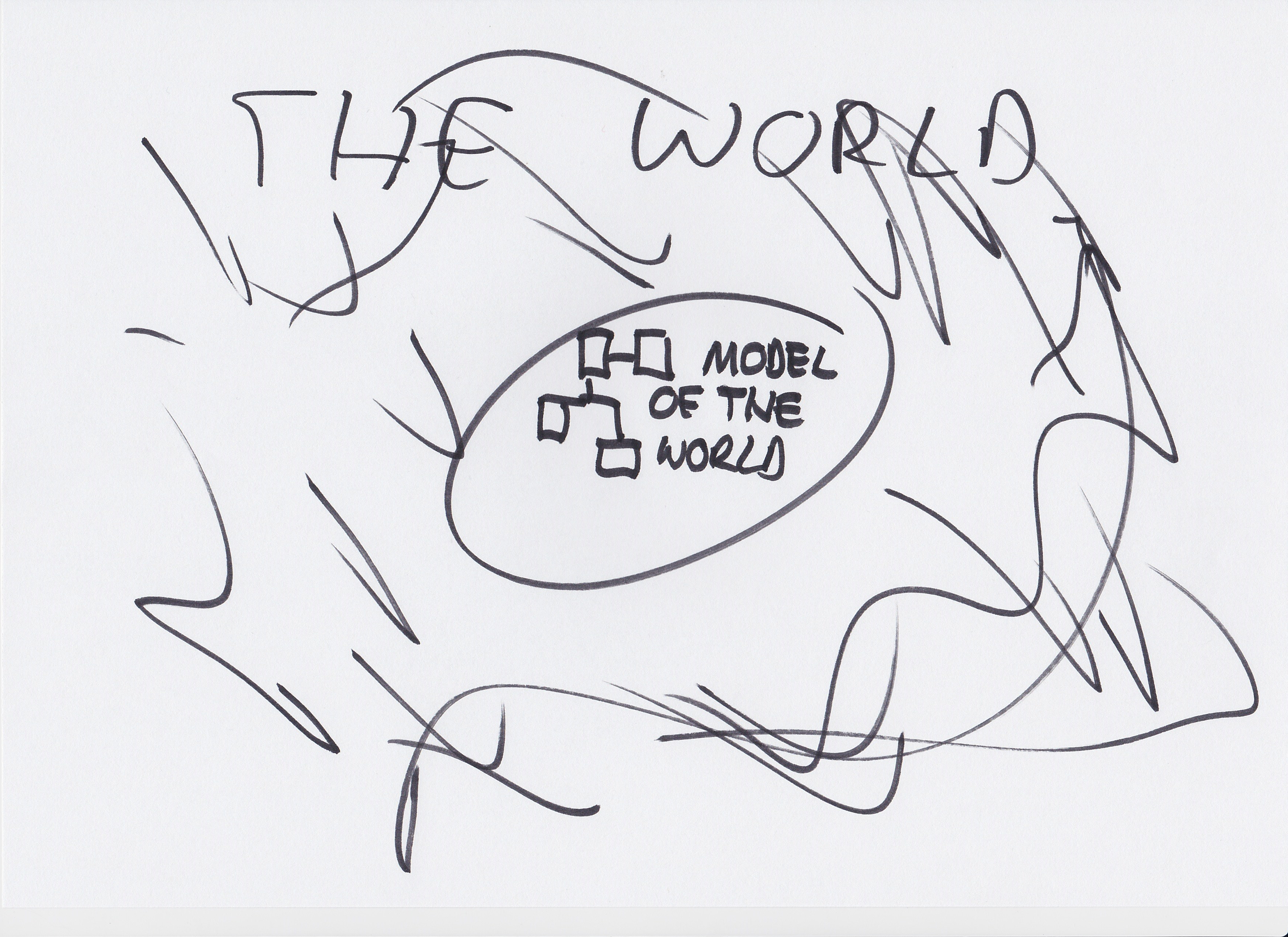 The World vs A Model of the World